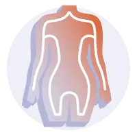 Illustration graphic of the human body